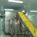 IQF Corn Fluidized Tunnel Bed Blast Freezer